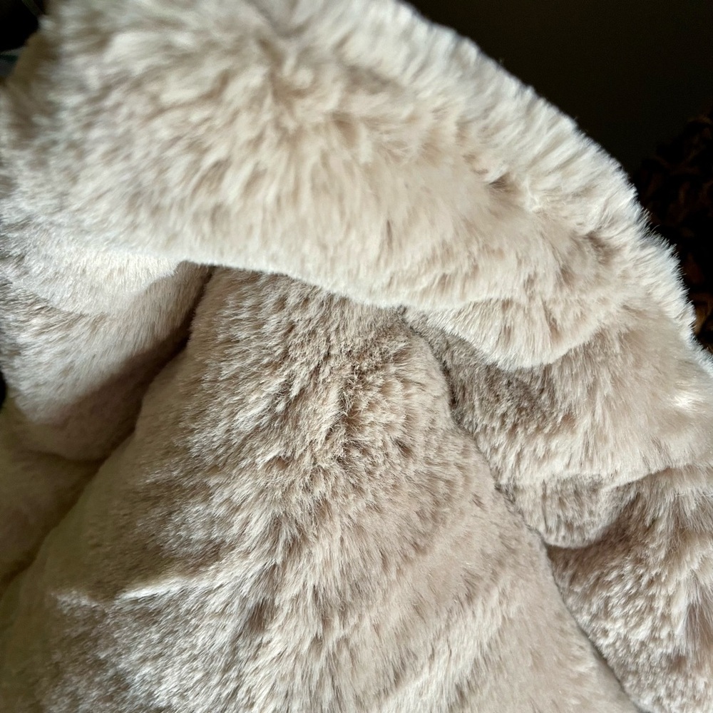 RACHEL ZOE Soft & Cozy Faux Fur Accent Pillow ! NWT! Cuddle up in coziness 😴 - Picture 8 of 14